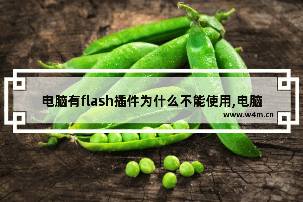 电脑有flash插件为什么不能使用,电脑网页flash不可用