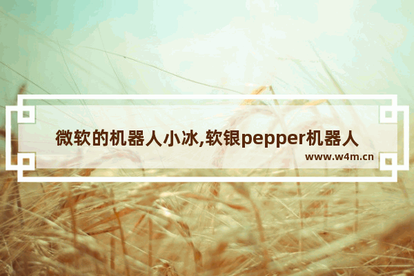 微软的机器人小冰,软银pepper机器人程序