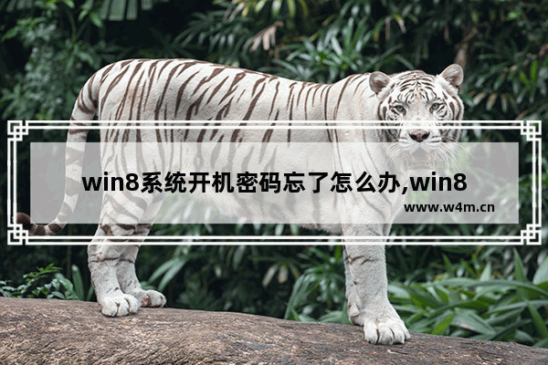 win8系统开机密码忘了怎么办,win8电脑开机密码忘了怎么办最简单的方法