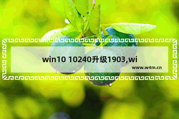 win10 10240升级1903,win10 1709更新