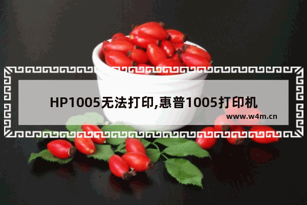 HP1005无法打印,惠普1005打印机显示错误无法打印