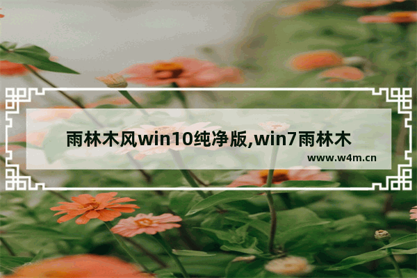 雨林木风win10纯净版,win7雨林木风下载