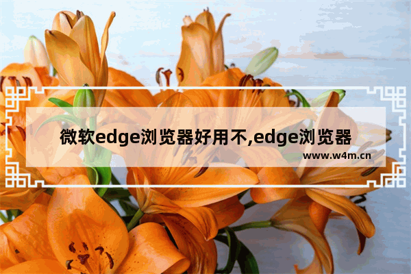 微软edge浏览器好用不,edge浏览器有用吗