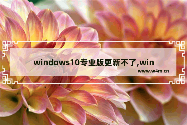 windows10专业版更新不了,win10系统更新后桌面点不了