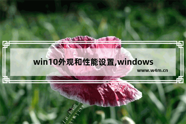 win10外观和性能设置,windows10外观和性能设置_1