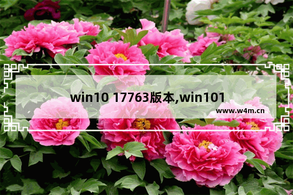 win10 17763版本,win101909镜像