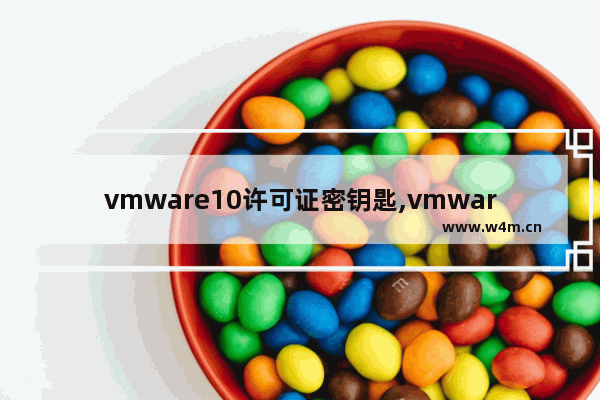 vmware10许可证密钥匙,vmware15虚拟机许可证密钥