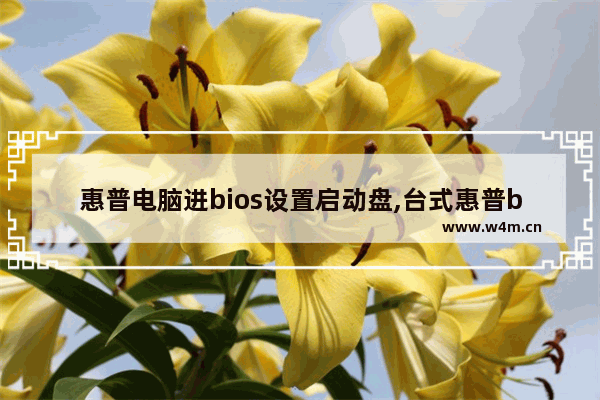 惠普电脑进bios设置启动盘,台式惠普bios设置启动顺序