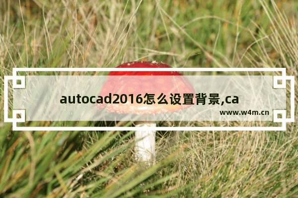 autocad2016怎么设置背景,cad2014如何设置背景