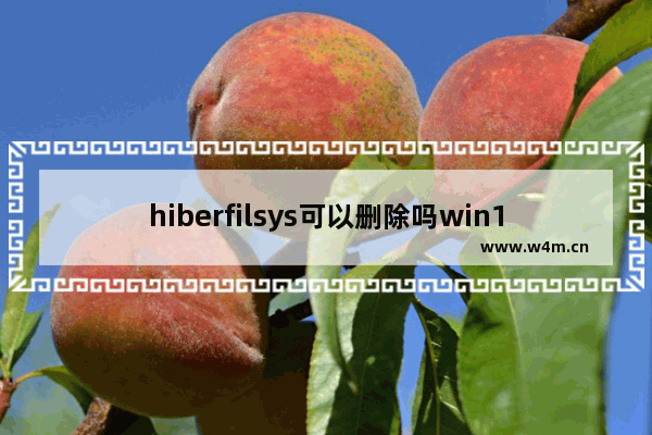 hiberfilsys可以删除吗win10,系统文件hiberfil.sys可以删除吗