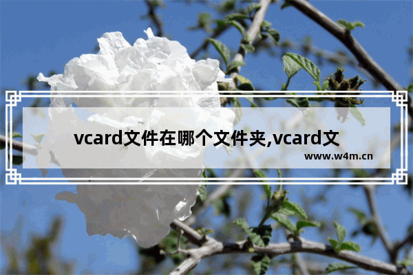 vcard文件在哪个文件夹,vcard文件在哪