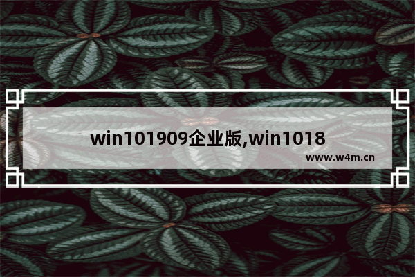 win101909企业版,win101809企业版_1