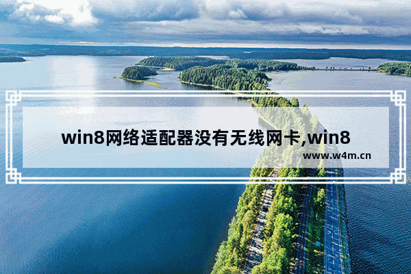 win8网络适配器没有无线网卡,win8.1系统没有无线网卡驱动