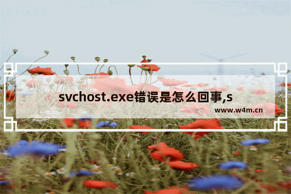 svchost.exe错误是怎么回事,svchost.exe系统错误怎么办