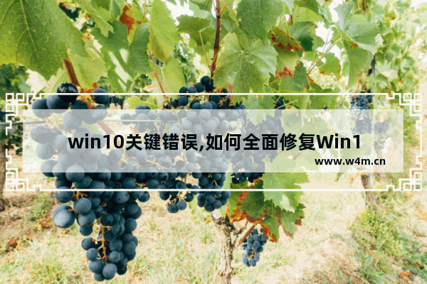 win10关键错误,如何全面修复Win10系统错误