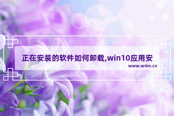 正在安装的软件如何卸载,win10应用安装程序可以卸载吗