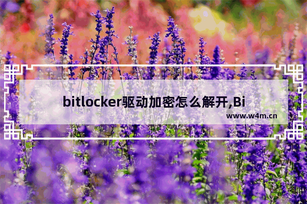 bitlocker驱动加密怎么解开,BitLocker驱动器加密怎么关闭