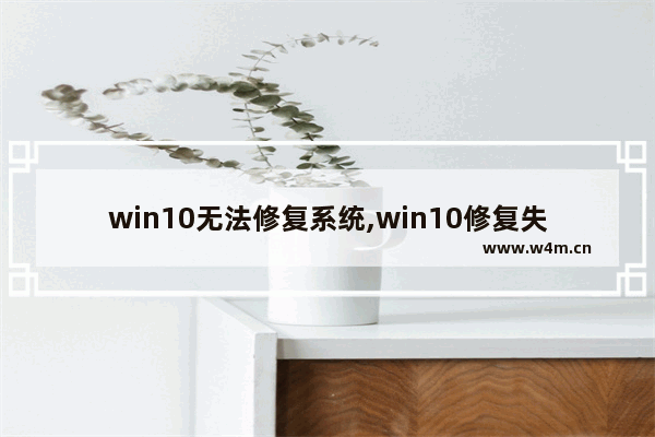 win10无法修复系统,win10修复失败进不去系统