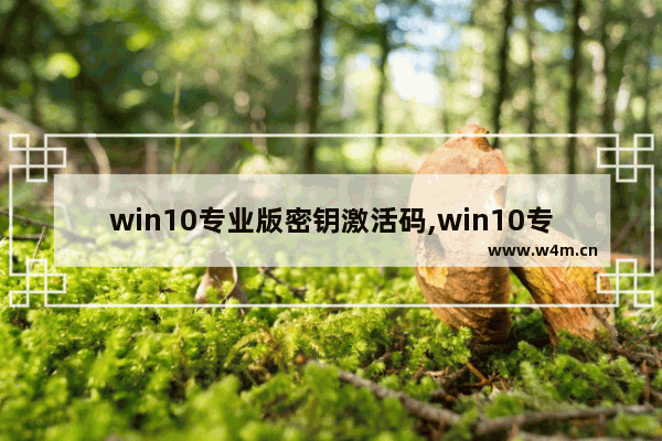 win10专业版密钥激活码,win10专业版密钥大全