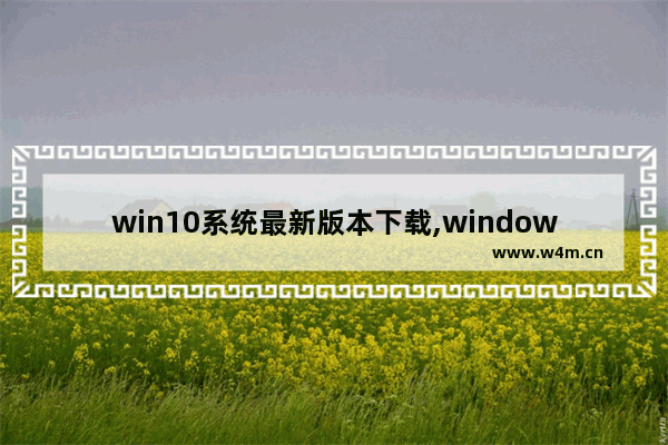 win10系统最新版本下载,windows10专业版1803下载