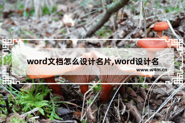 word文档怎么设计名片,word设计名片教程