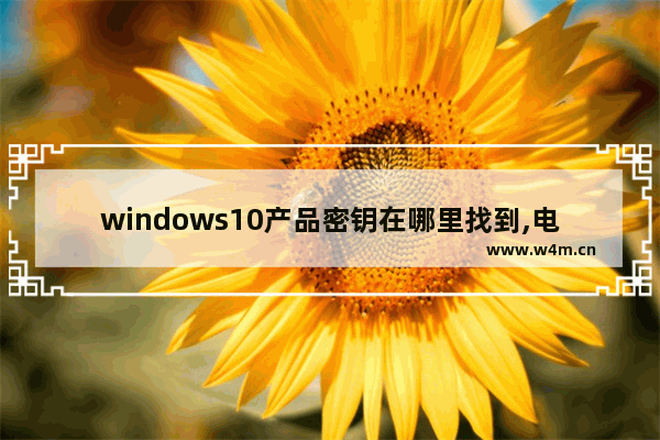 windows10产品密钥在哪里找到,电脑windows10产品密钥在哪里