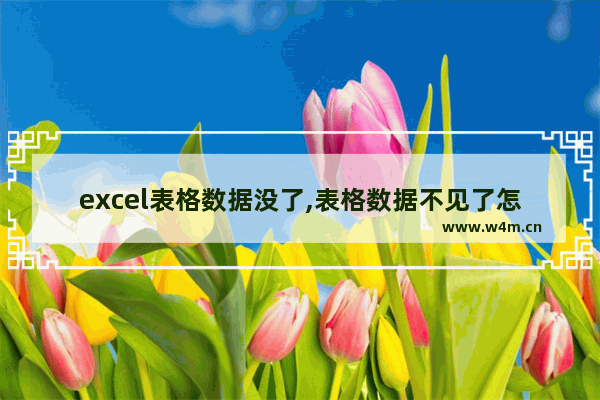 excel表格数据没了,表格数据不见了怎么办