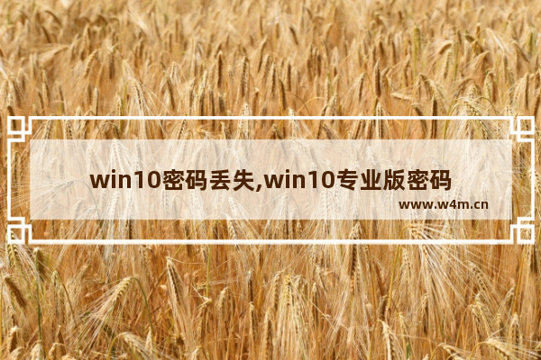 win10密码丢失,win10专业版密码忘记