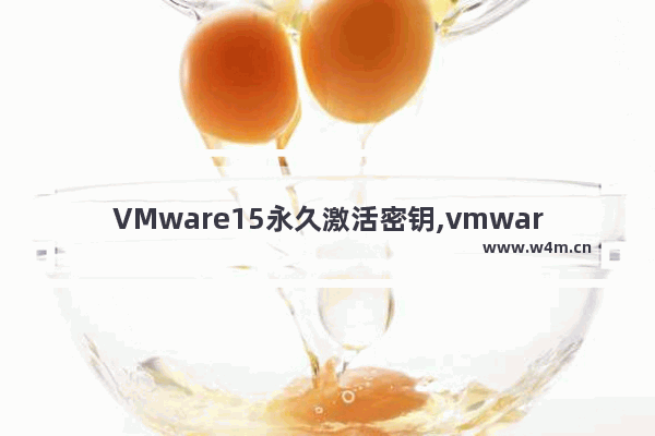 VMware15永久激活密钥,vmware16永久激活密钥最新