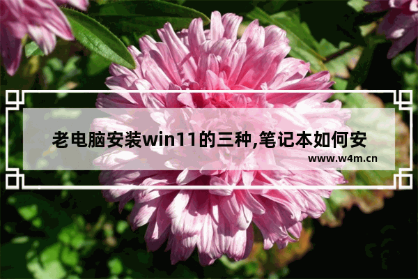 老电脑安装win11的三种,笔记本如何安装win11