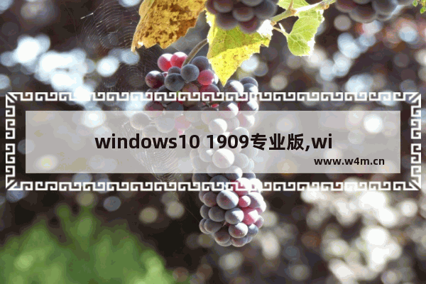 windows10 1909专业版,win10最新版本1909专业版