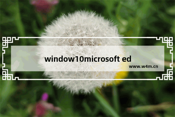 window10microsoft edge,windows10microsoft edge