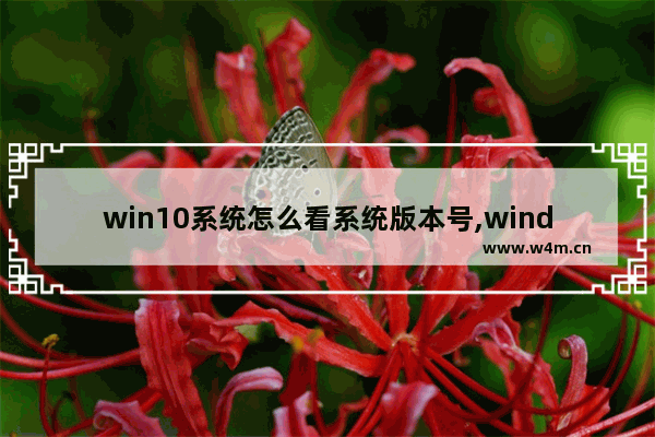 win10系统怎么看系统版本号,window10如何查看系统版本号