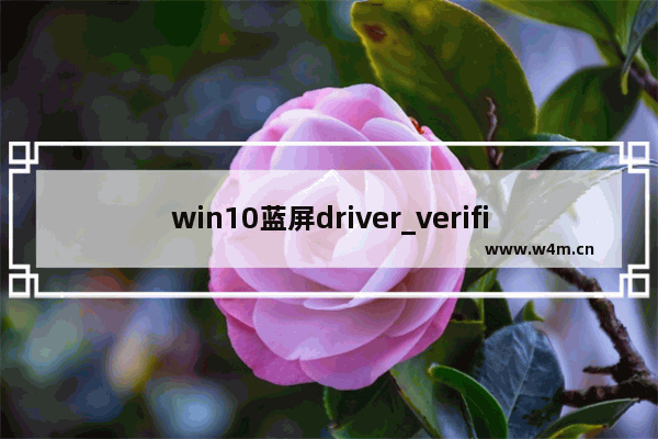 win10蓝屏driver_verifier,driver verifier detected