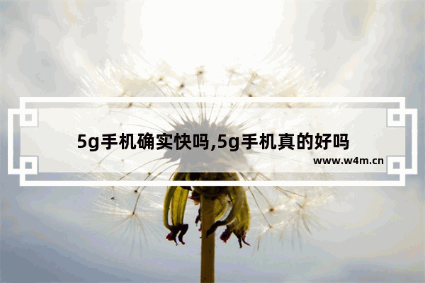 5g手机确实快吗,5g手机真的好吗