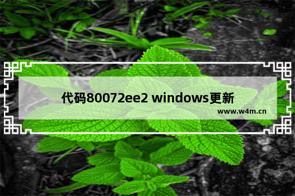 代码80072ee2 windows更新遇到问题,windows更新代码80072EE2