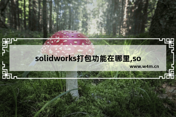 solidworks打包功能在哪里,solidworks怎么打包