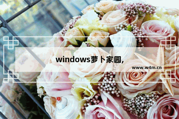 windows萝卜家园,