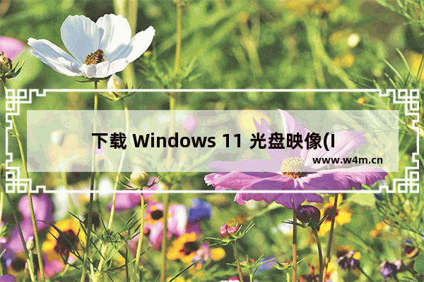 下载 Windows 11 光盘映像(ISO 文件),下载win10光盘映像(iso文件)u盘