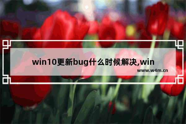 win10更新bug什么时候解决,windows10延迟更新