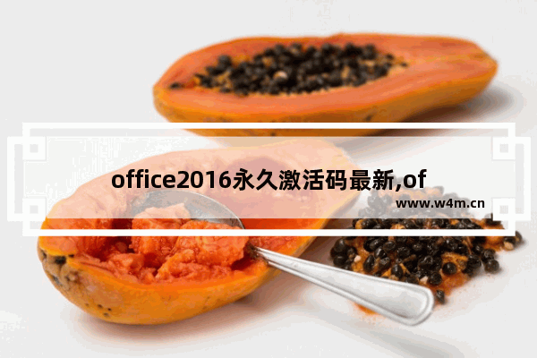 office2016永久激活码最新,office2016word永久激活密钥最新