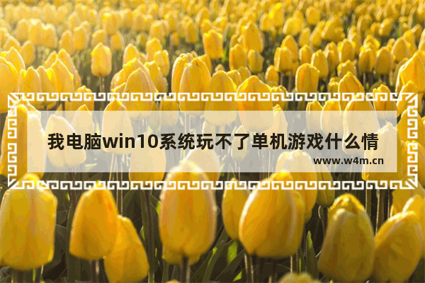 我电脑win10系统玩不了单机游戏什么情况,win10专业版打不开游戏