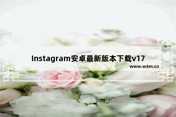 Instagram安卓最新版本下载v173,instagram pc版