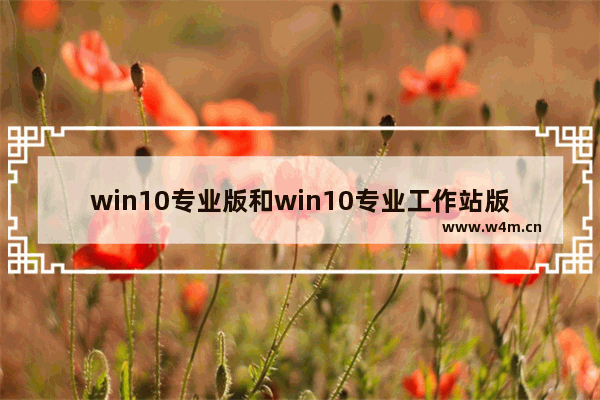 win10专业版和win10专业工作站版有什么区别,win10专业版和win10专业工作站版