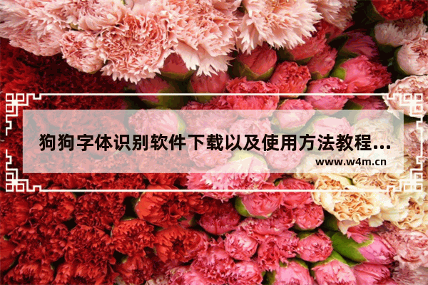 狗狗字体识别软件下载以及使用方法教程,狗狗字体识别软件下载以及使用方法大全