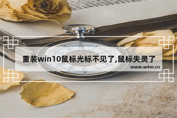 重装win10鼠标光标不见了,鼠标失灵了怎么修复win10