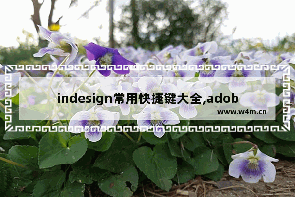 indesign常用快捷键大全,adobe indesign怎么用