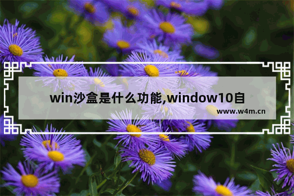 win沙盒是什么功能,window10自带的沙盒