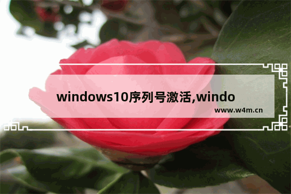 windows10序列号激活,window10激活器和序列号