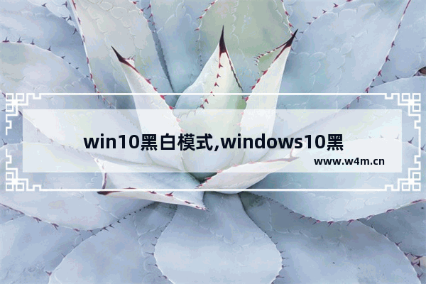 win10黑白模式,windows10黑白模式